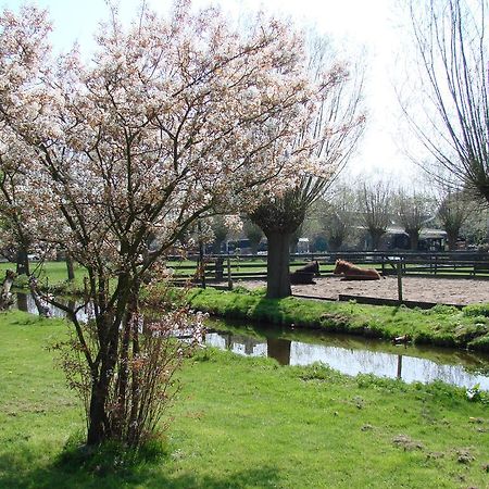Bed&Brood De Straverdonk Graft Exteriér fotografie
