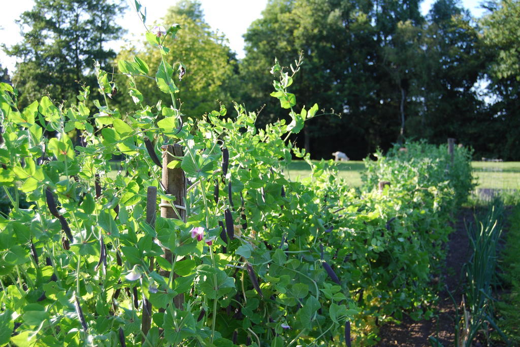 Bed&Brood De Straverdonk Graft Pokoj fotografie