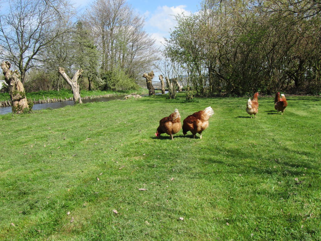 Bed&Brood De Straverdonk Graft Pokoj fotografie