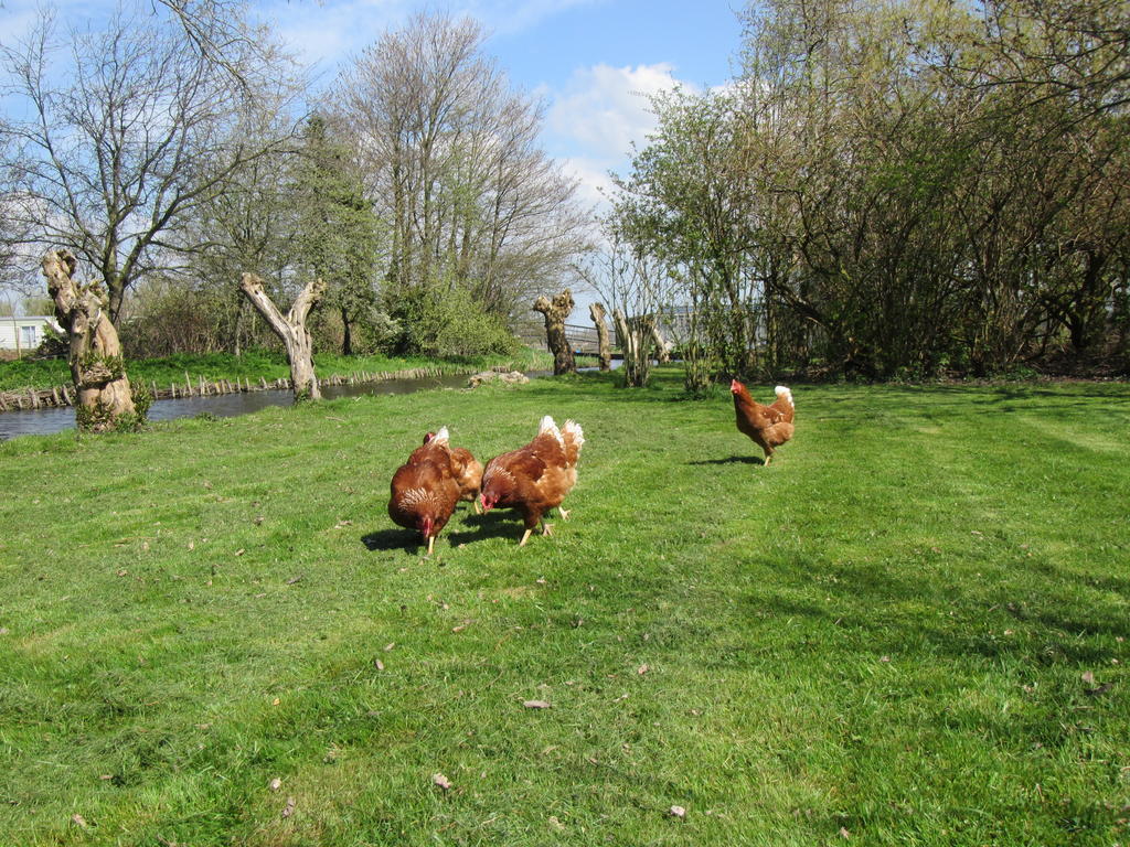 Bed&Brood De Straverdonk Graft Exteriér fotografie
