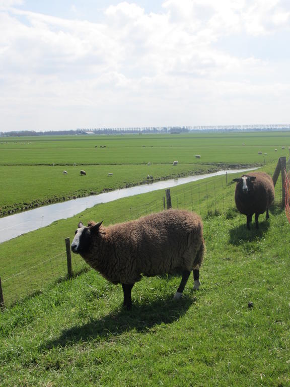Bed&Brood De Straverdonk Graft Pokoj fotografie