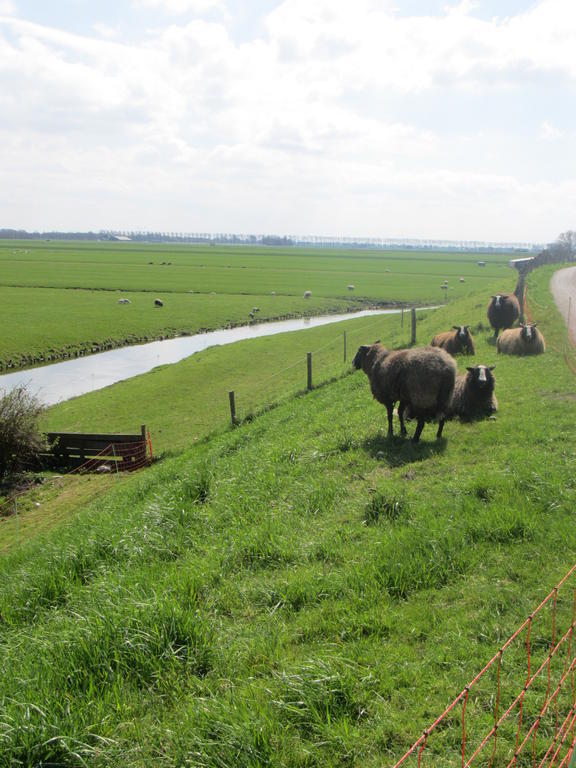 Bed&Brood De Straverdonk Graft Pokoj fotografie