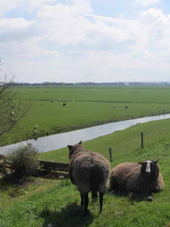 Bed&Brood De Straverdonk Graft Pokoj fotografie