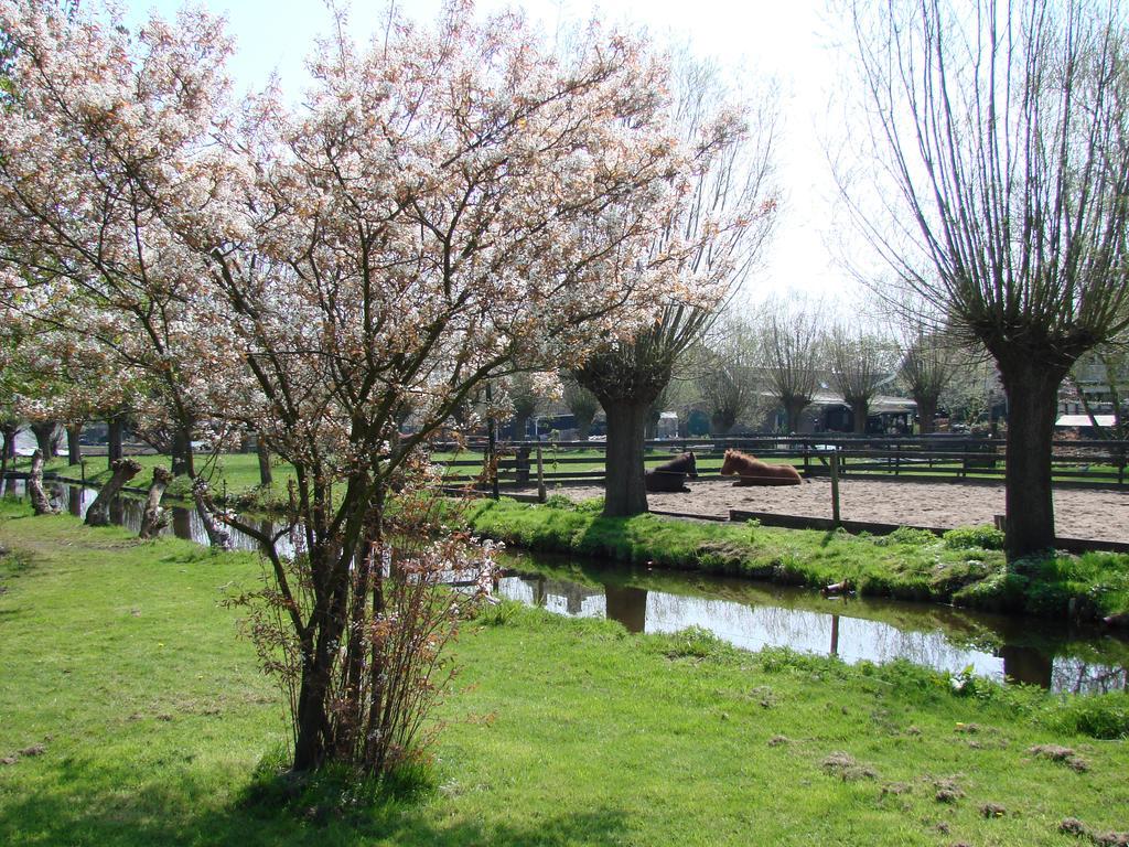 Bed&Brood De Straverdonk Graft Exteriér fotografie